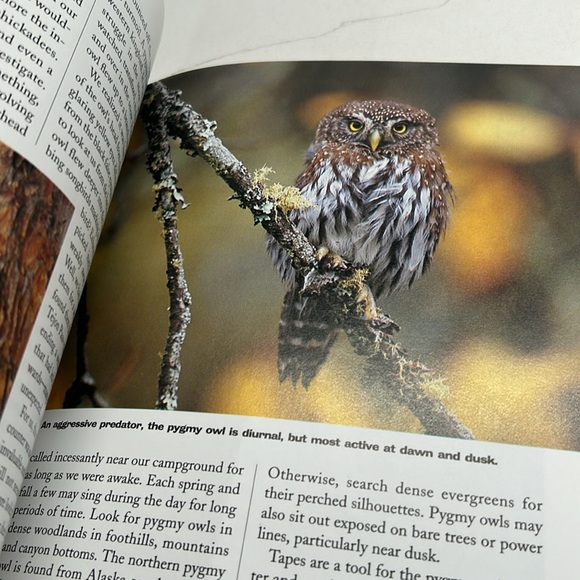 🌻4/$20 Vintage How to Spot An Owl Softcover 1994 Softcover Book Chapters Publ - Picture 9 of 16